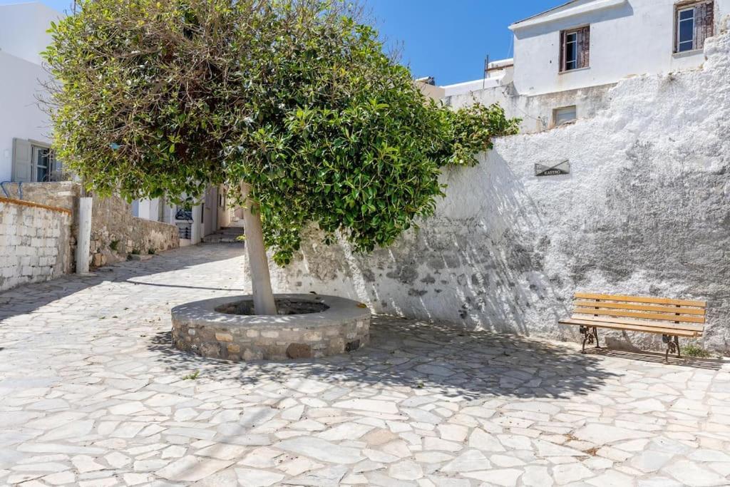 הוילה Naxos City Avgerinos מראה חיצוני תמונה